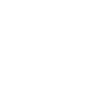 nes portrait studio logo designs